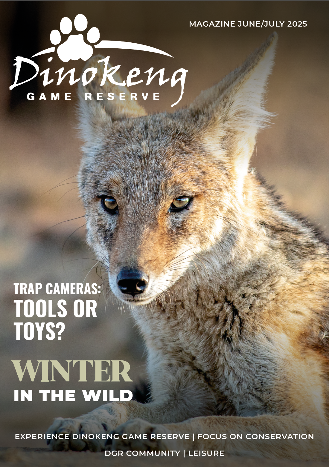 Black-backed Jackal on the cover of Issue 15 of Dinokeng Game Reserve Magazine