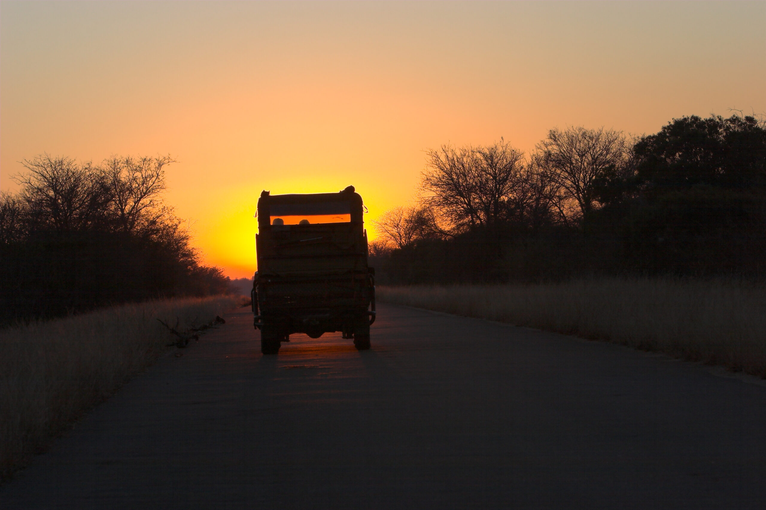 Dinokeng Game Reserve Guided Game Drives
