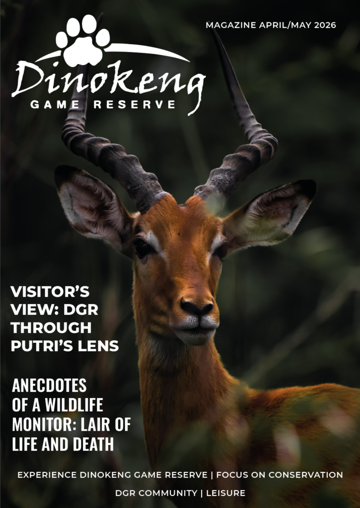 DGR MAGAZINE ISSUE 20