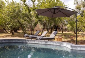 Amy's Camp Dinokeng Game Reserve pool area