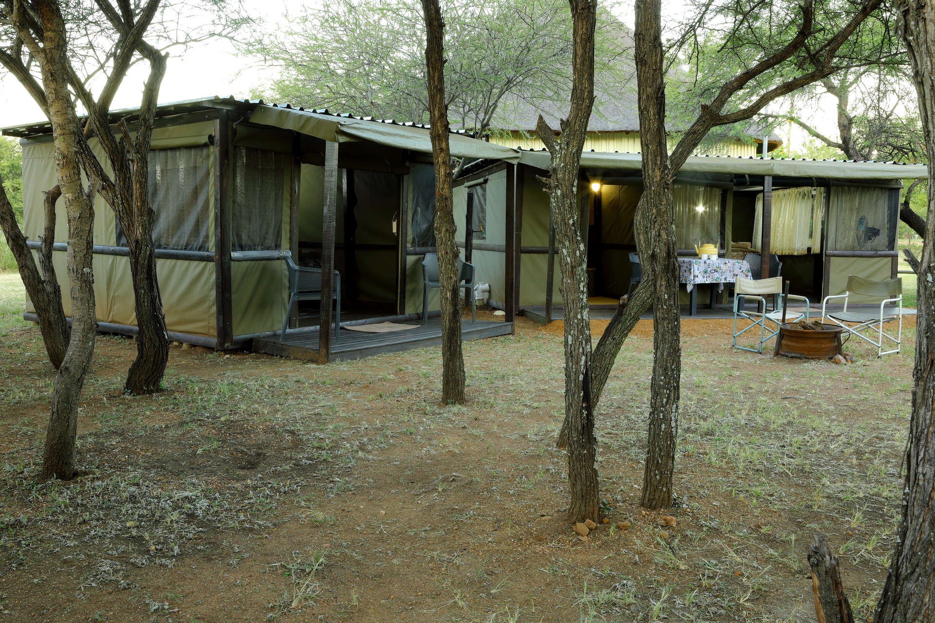 THORN TREE BUSH CAMP - The Dinokeng Reserve