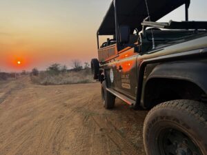 Lookout Safari Game Drive in Dinokeng Game Reserve