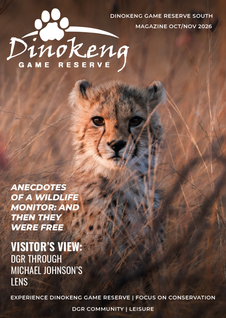 DGR MAGAZINE ISSUE 23