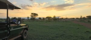 Tsela Safari Guided Game Drive in Dinokeng Game Reserve